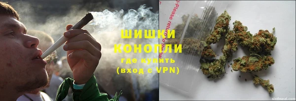 гидропоника Белокуриха