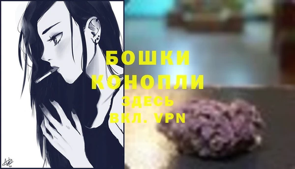 гидропоника Белокуриха