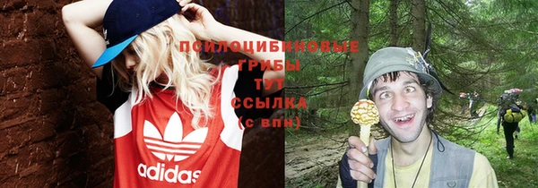 гидропоника Белокуриха