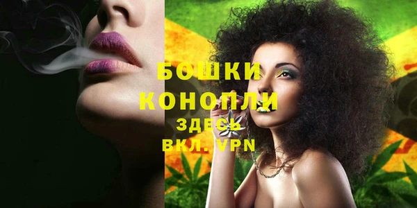гидропоника Белокуриха