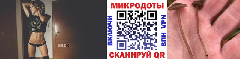 Галлюциногенные грибы Psilocybe цены Луховицы